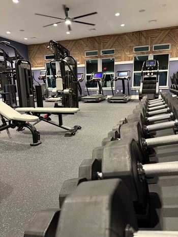 a gym with rows of weights and cardio equipment